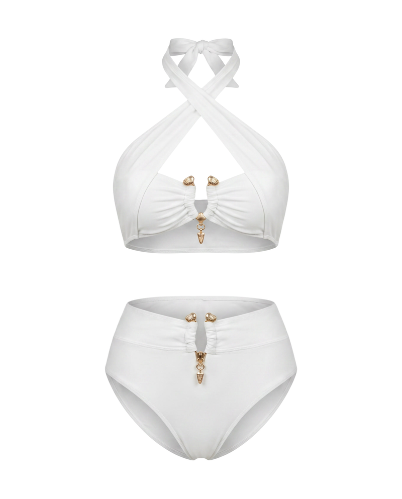 Snake Print High Waist Bikini