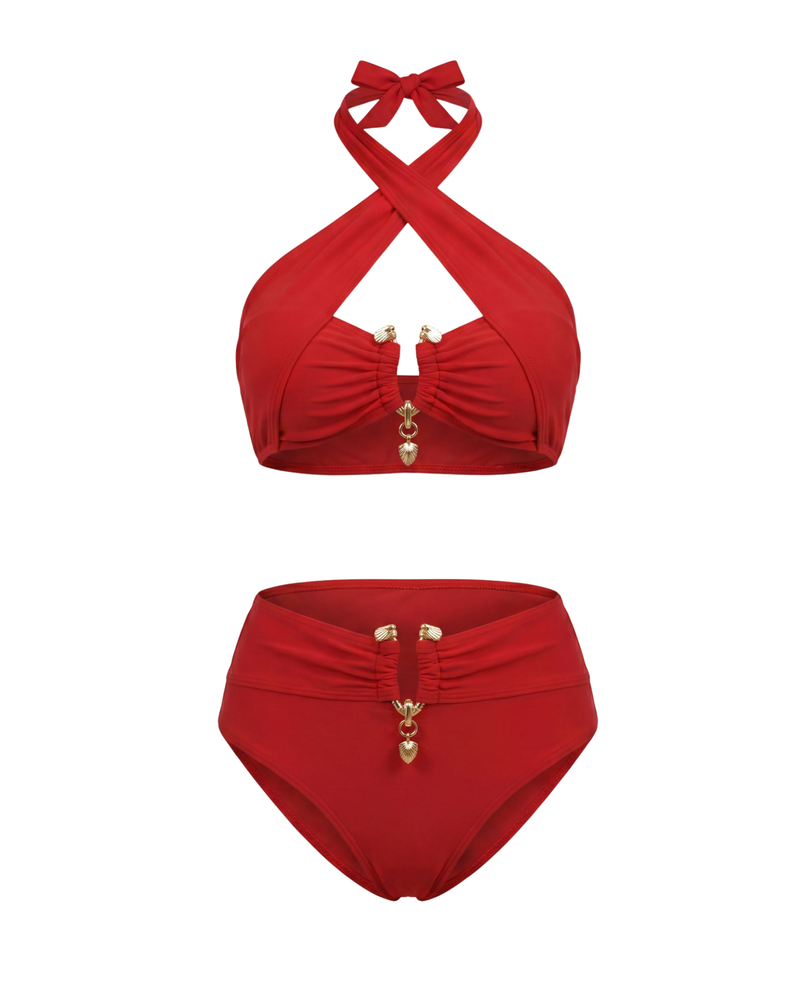 Snake Print High Waist Bikini